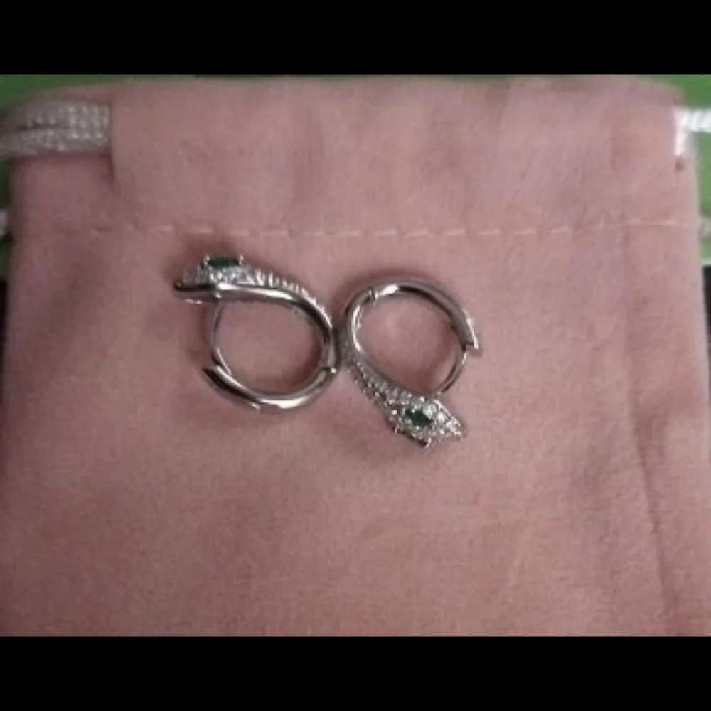 🌟HOST PICK🌟ELEGANT SPARKLING ZIRCON SNAKE 925 STERLING SILVER STUD EARRINGS - Picture 9 of 11